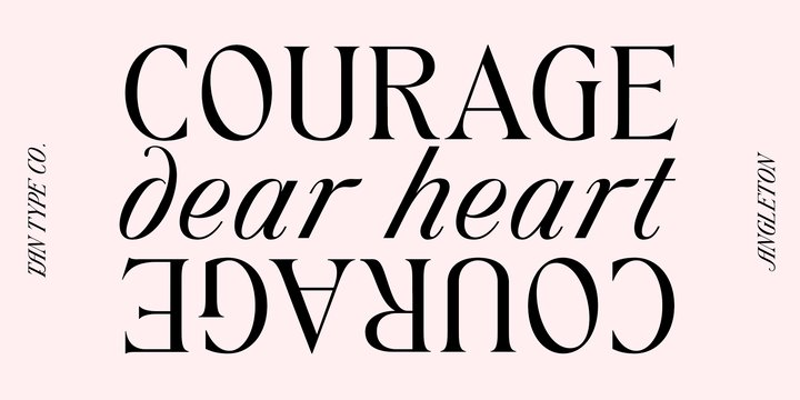 TAN Angleton Font Family