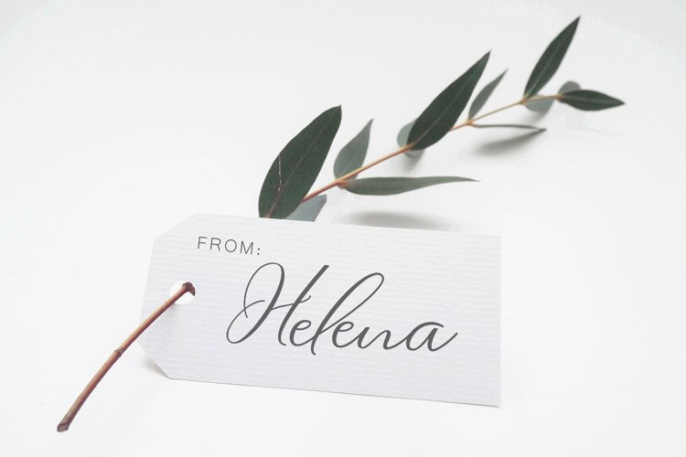 Matthew - New Modern Calligraphy Typeface