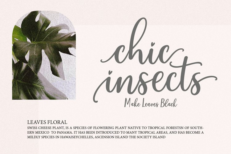 Helenia Sweetness Font
