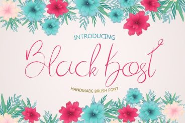 Black Kost Script Font