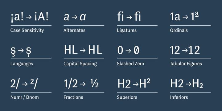 Contemporary Sans Font Family