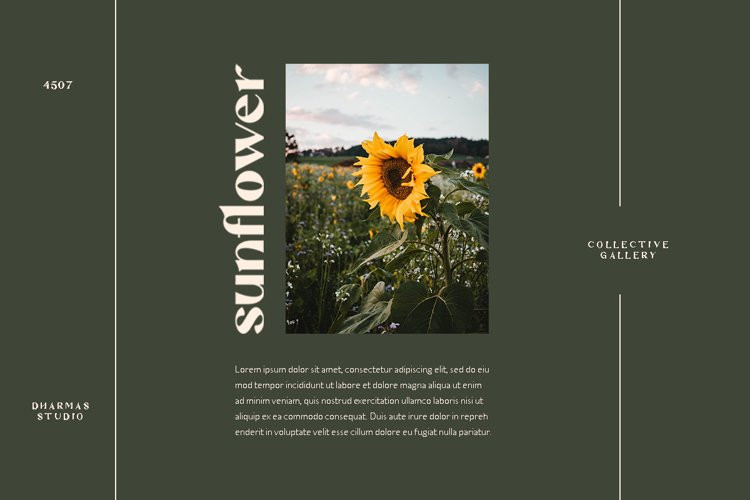 Mattire - Modern Serif Typeface