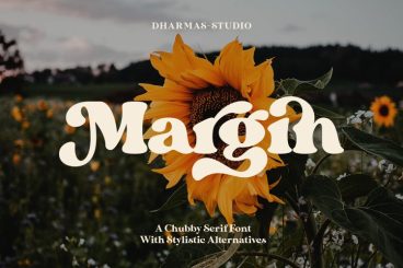 Margin - Retro Serif Font