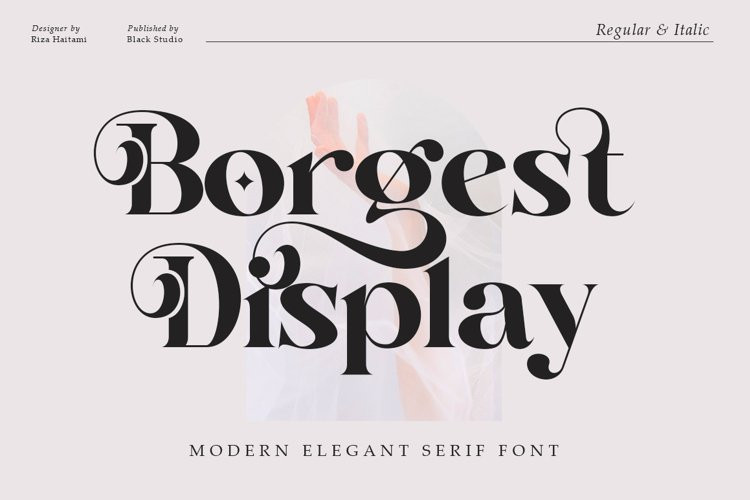 Borgest Display Font Borgest Display Font
