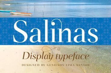 Salinas Serif Fonts