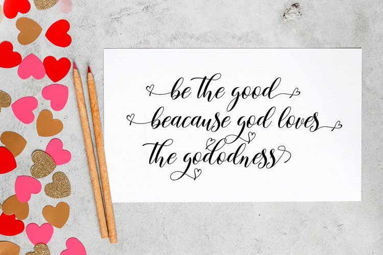 Stephania Font