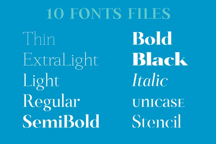 Salinas Serif Fonts