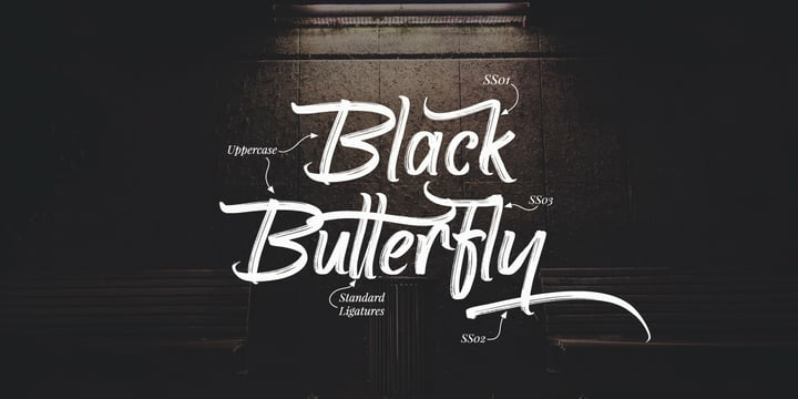 The Killer Way Font