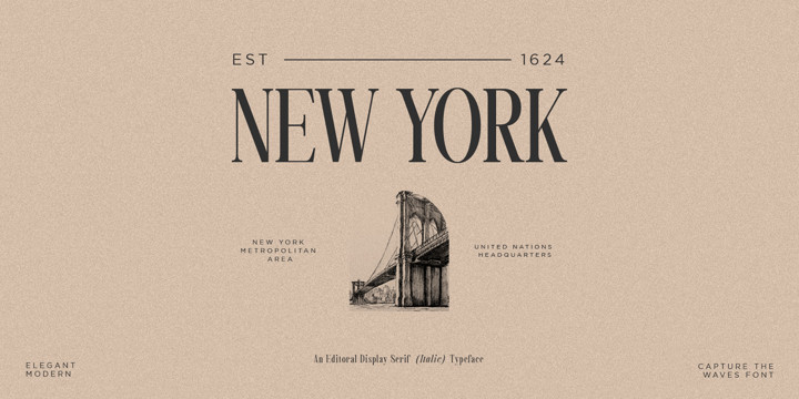 Capture The Waves Font Family