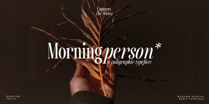 Capture The Waves Font Family