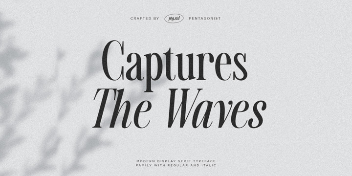Capture The Waves Font Family