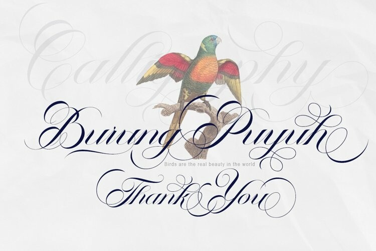 The Antter Font