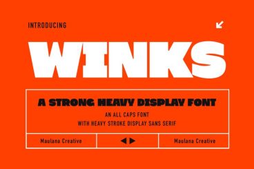 Winks Font