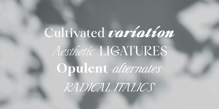 Liliane Classe Font Family