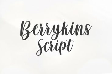 Berrykins Script Font