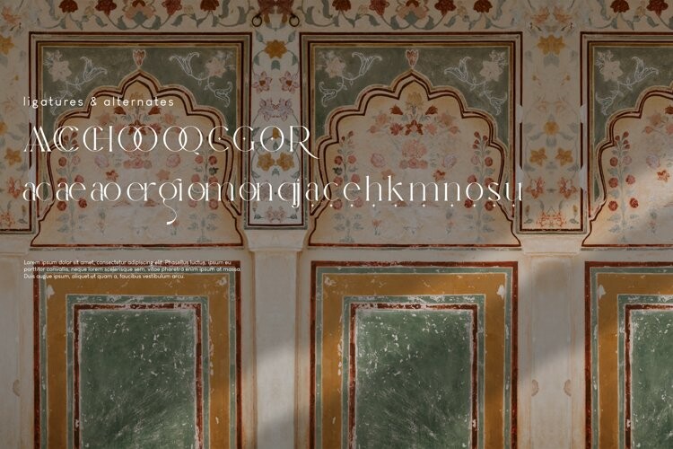 Oleragie Font