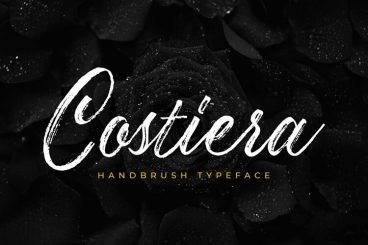 Costiera - Elegant Hanbrush