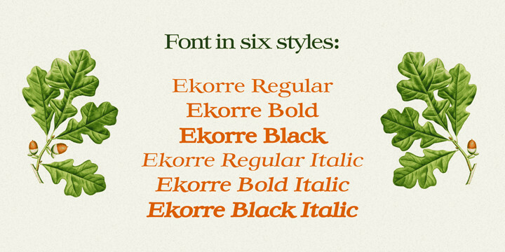 Ekorre Font Family