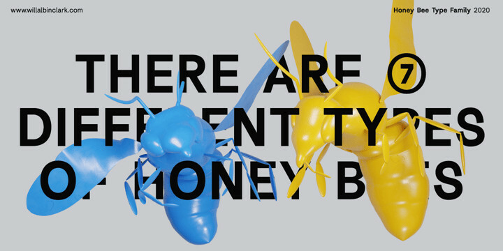 AC Honey Bee Font Family