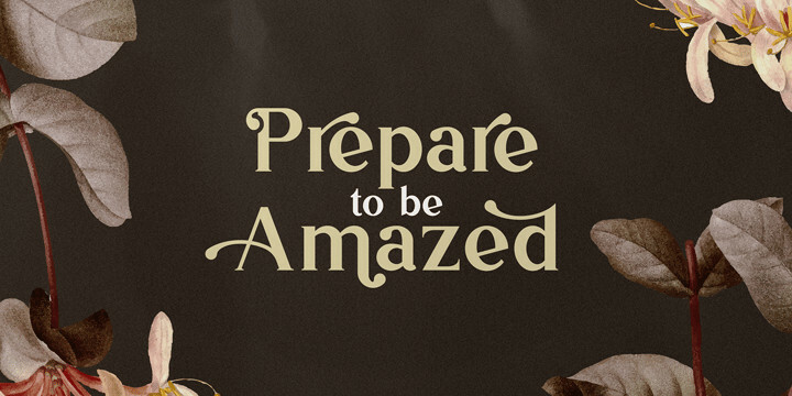 Vintage Mintage Font