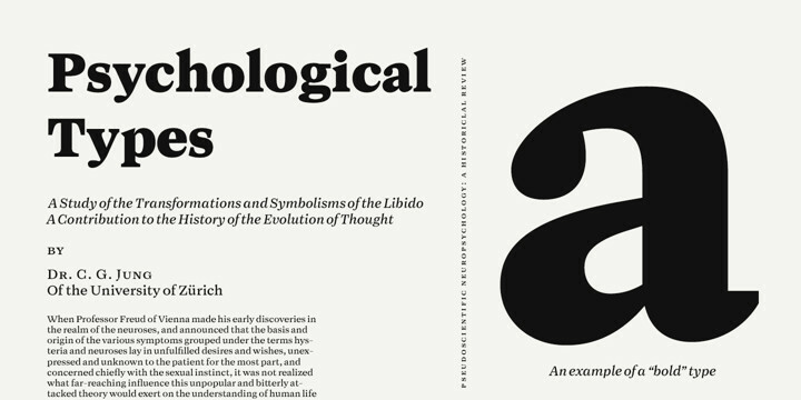 Maine Font Family Maine Font Family