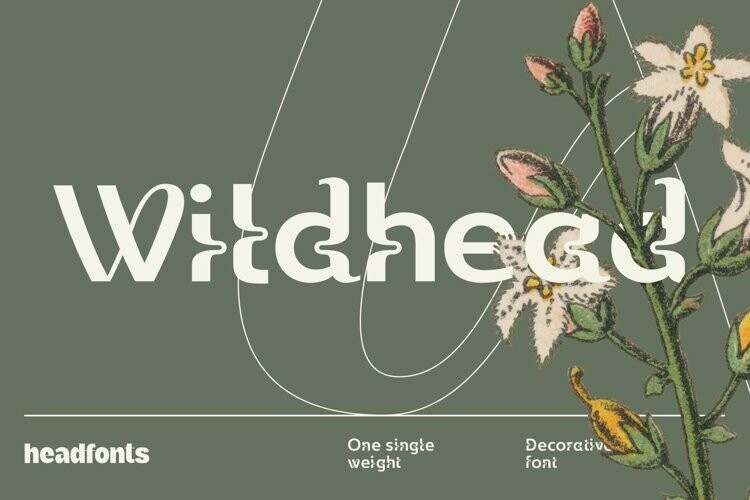 Wildhead Font Wildhead Font