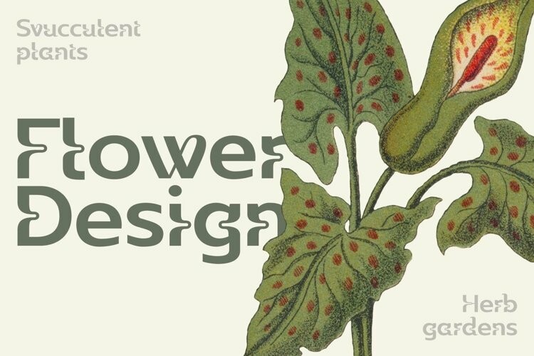 Wildhead Font Wildhead Font