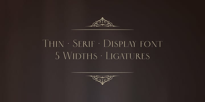 Selini Display Font Family Selini Display Font Family