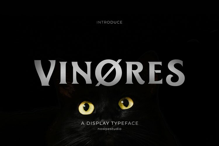Vinores Typeface