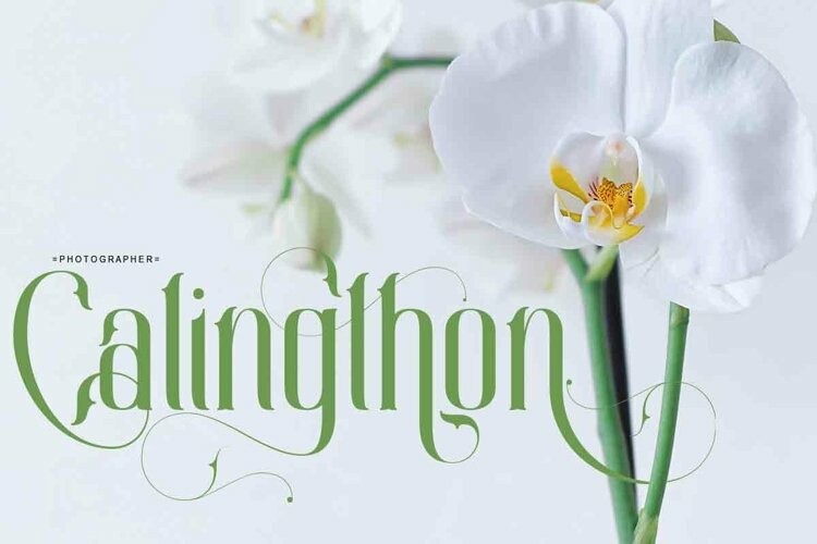 Calingthon Font Calingthon Font