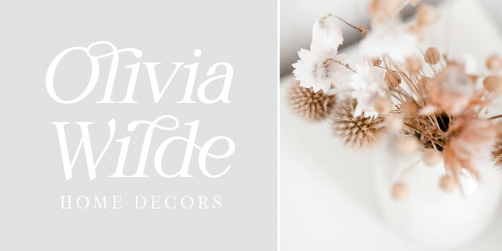 Wistenia Font Family