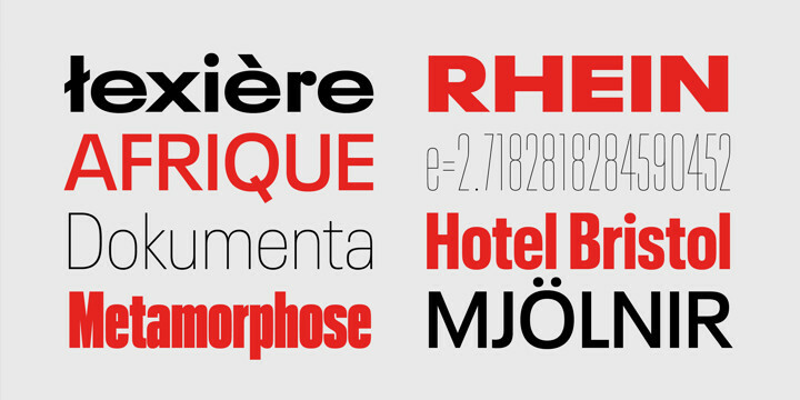 Neue Plak Font Family
