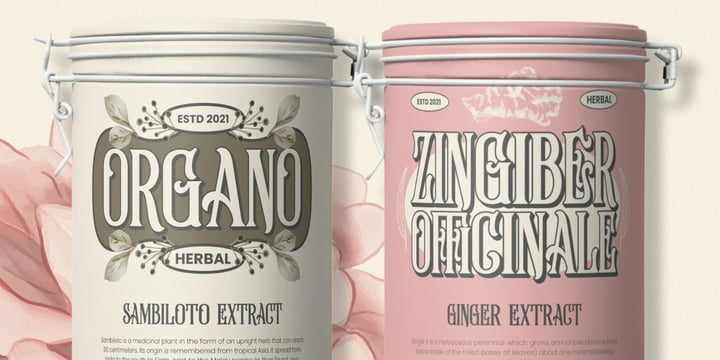 The Entik Font