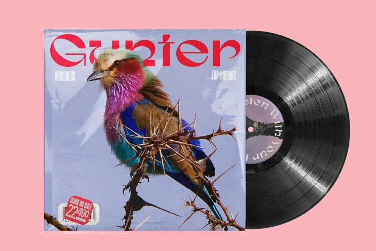 Gunter Display Font