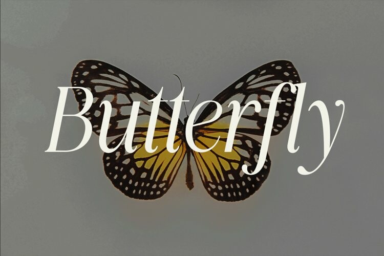 Quincity Font