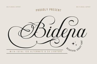 Bidena | Script Font