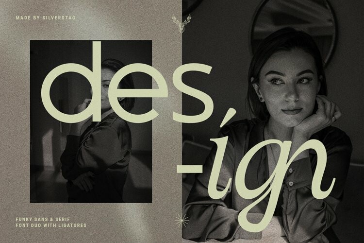 Officially Funky - Modern Font Duo