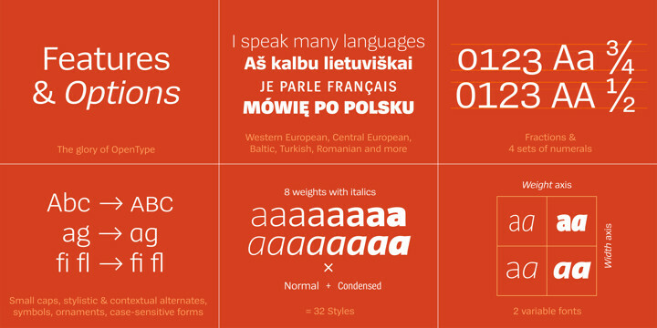 Spiegel Sans Font Family