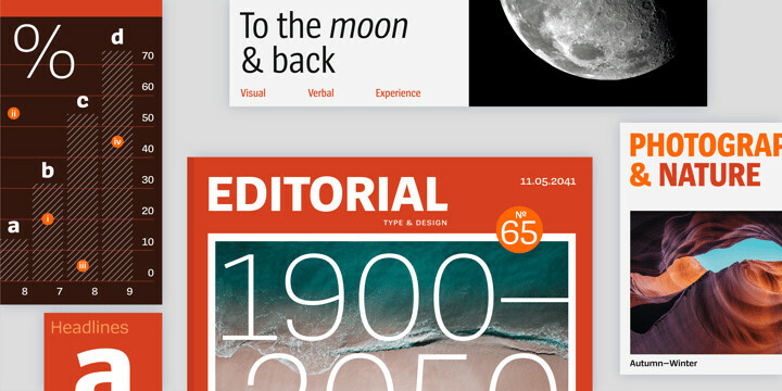 Spiegel Sans Font Family