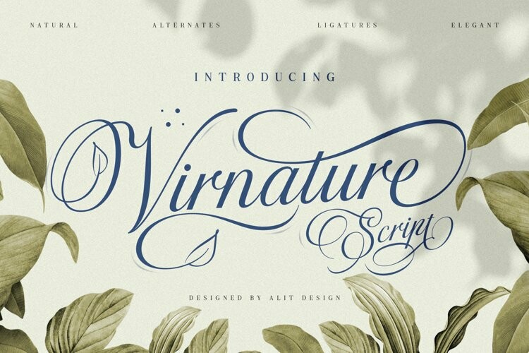 Virnature Font Virnature Font