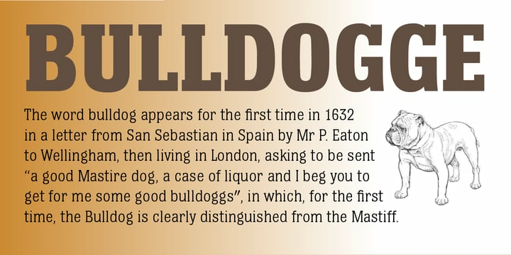 Bulldog Hunter Std Font Family