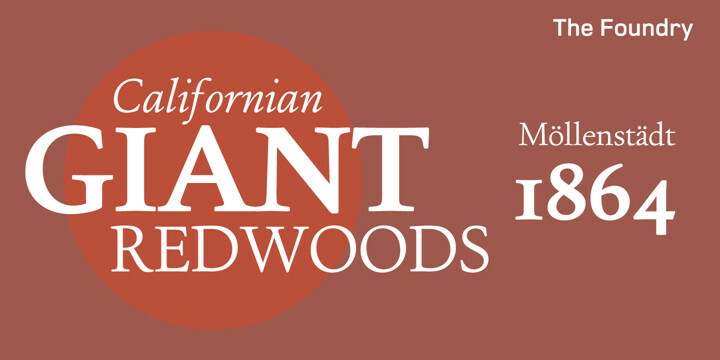Foundry Old Style Font Family