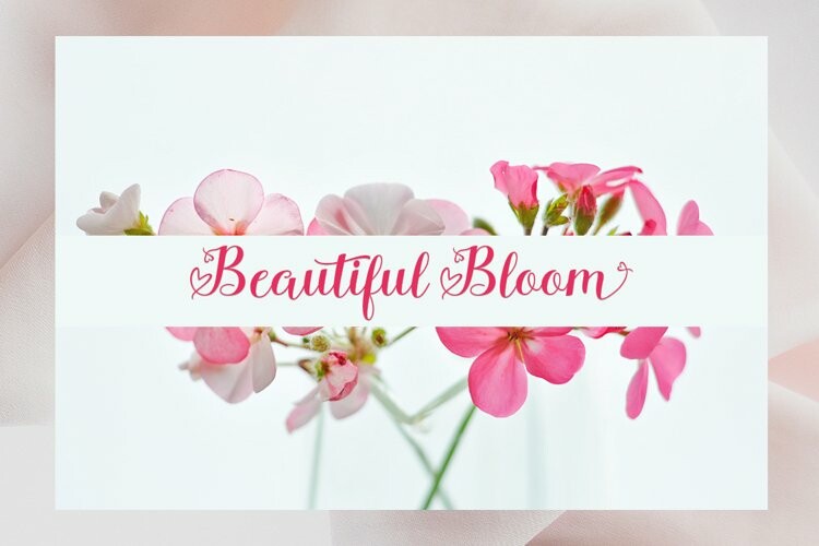 Molynia Font