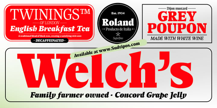 Elvira Serif Font Family