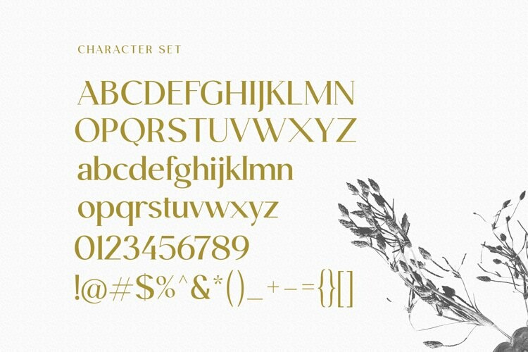 Rilano Serif Font