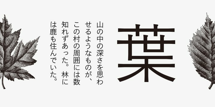 Iwata Gothic Old Pro Family