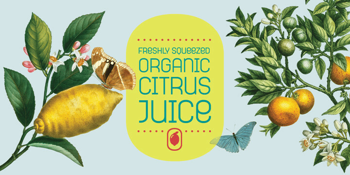 Aqueo Font Family Aqueo Font Family