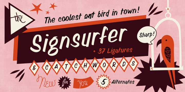Signsurfers Script Font Family - Free Font