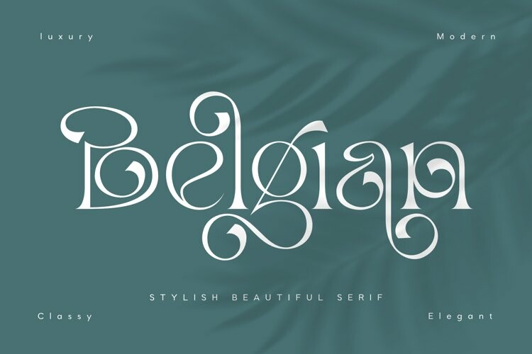 Belgian stylish modern serif