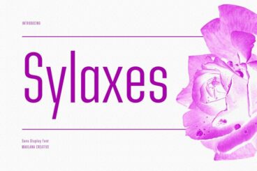 Sylaxes Font